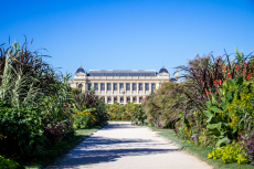 3-B-Jardin-des-Plantes