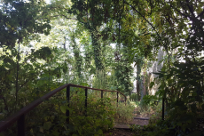 8-B-Flickr-Jardin-Sauvage-St-Vincent-B