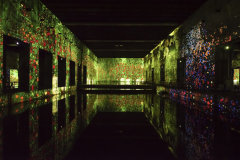 B-Klimt-13-©-Culturespaces-Anaka-Photographie