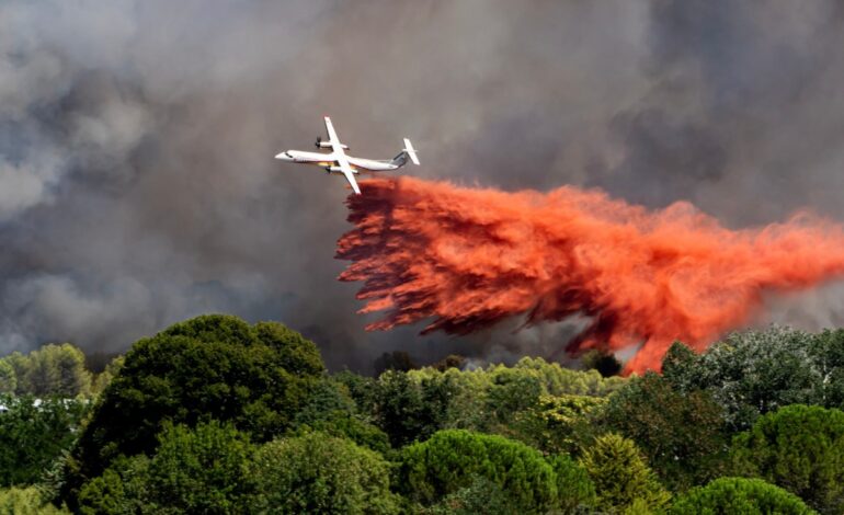 Waldbrände in Frankreich Außer Kontrolle 