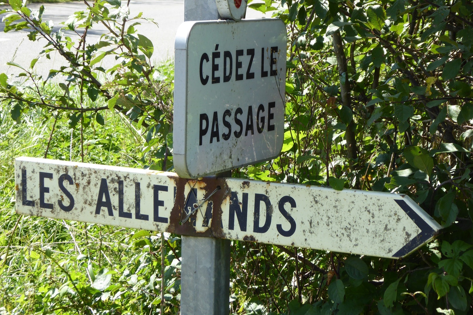 Écarts de langage ? Invasions, incursions, migrations 