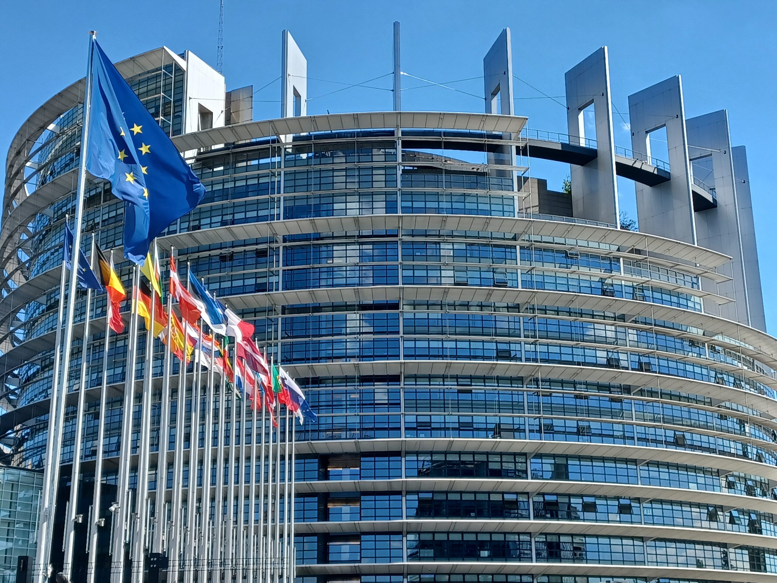 Élections européennes : Voter autrement – Comment élire le Parlement européen ? 