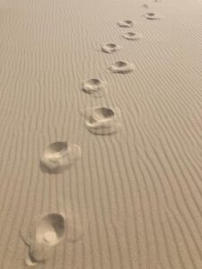 © Julia Schölzel