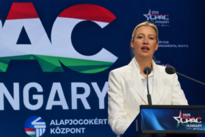 Alice Weidel, coprésidente de l’AfD, est très présente sur TikTok, notamment grâce à de nombreux comptes de soutien