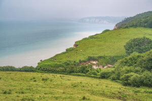 Die Alabasterküste bei Varengeville-sur-Mer (Copyright: Hilke Maunder)