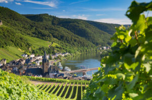 Vue sur les vignobles de la vallée de la Moselle, Bernkastel-Kues, Rhénanie-Palatinat (Copyright: Alamy)