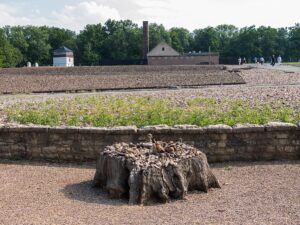 Le chêne de Goethe à Buchenwald (Copyright: Wikimedia Commons)