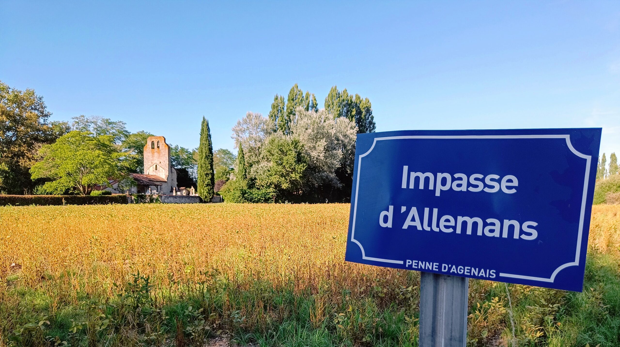 De Thuringe à Faucigny : l’épopée des Alamans
