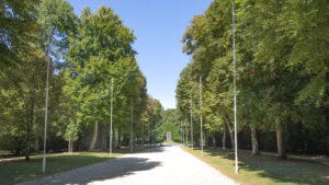 Die Lichtung des Waffenstillstands im Wald von Rethondes (Copyright: Hilke Maunder)