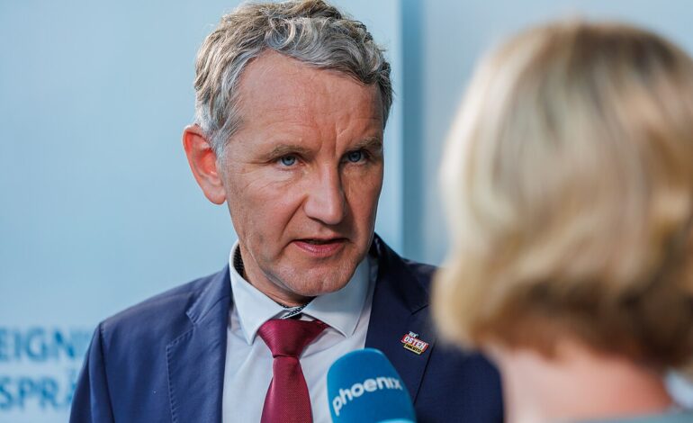 Alternative für Deutschland : Entre « normalisation » et radicalisation 