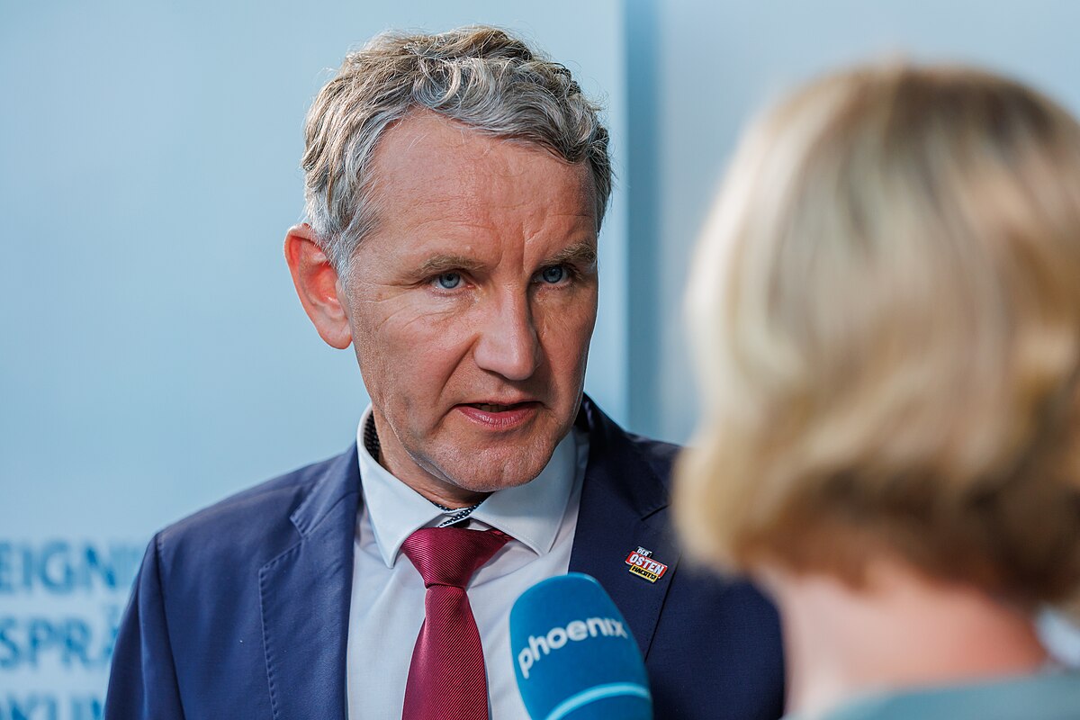 Alternative für Deutschland : Entre « normalisation » et radicalisation 