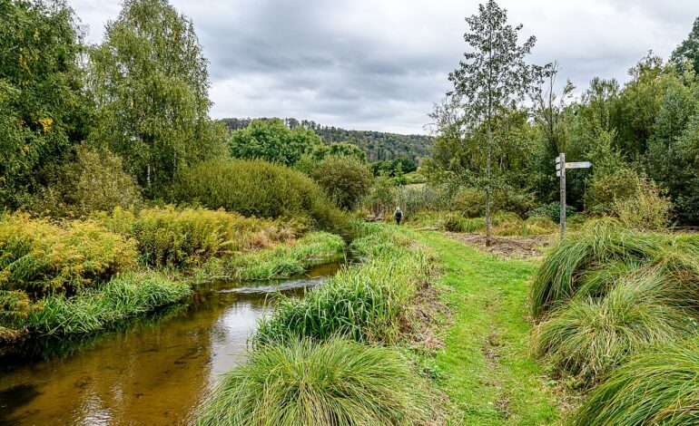 Biosphärenreservat Pfälzerwald-Nordvogesen Im Herzen Europas 