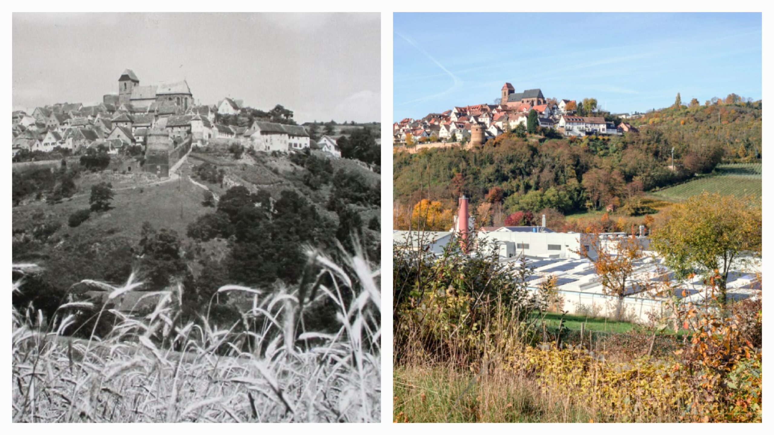 Welche Dynamik zeigt sich im Verlauf der Zeit? Der Ort Neuleiningen in einer Aufnahme aus dem fotografischen Landschaftsmonitoring von November 2025 von Germain Robin sowie in ähnlicher Ansicht aus den 1930er Jahren (Copyright: Germain Robin & Nachlass Striemann/Institut für Pfälzische Geschichte und Volkskunde)