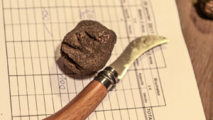 Copyright: Hilke Maunder