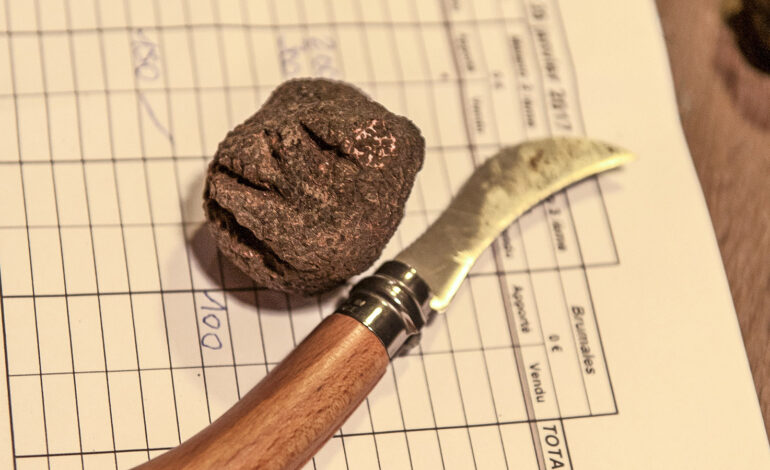 Tricastin, Perigord & Provence: Die Heimat des „schwarzen Goldes“ 