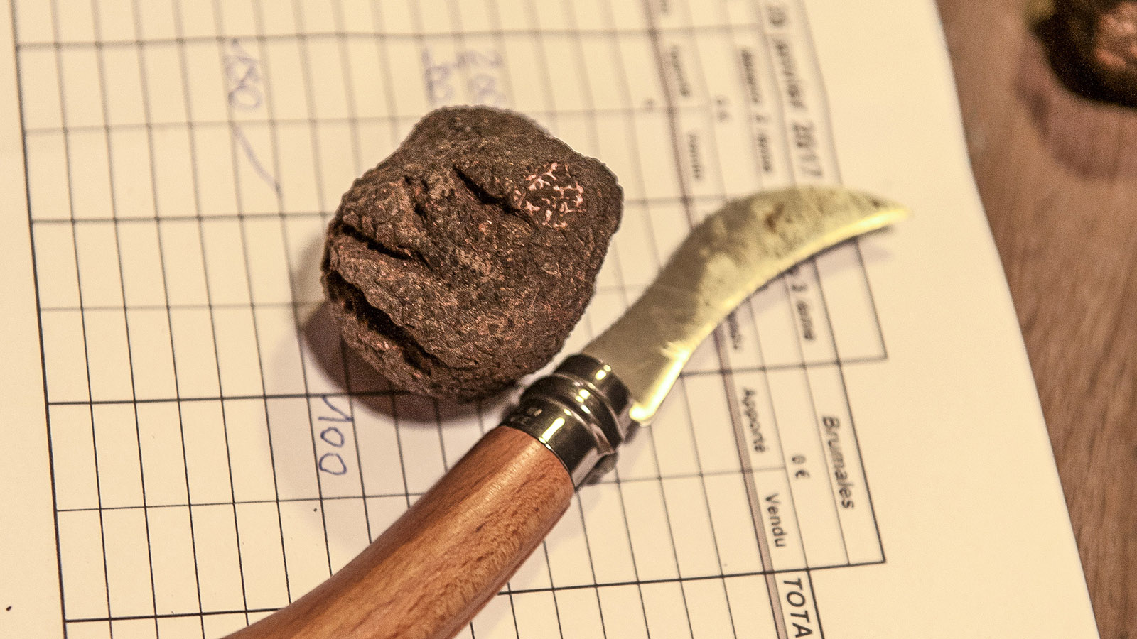 Tricastin, Perigord & Provence: Die Heimat des „schwarzen Goldes“ 