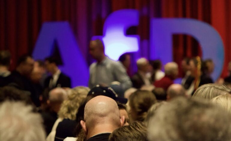 Fondation Desiderius-Erasmus : Au service des ambitions de l’AfD 