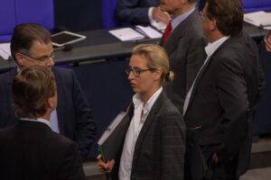 Alice Weidel im Plenarsaal