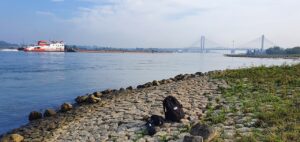 Blick auf die Martinus-Nijhoff-Brücke an der deutsch-niederländischen Grenze. (Copyright: Wikimedia Commons)