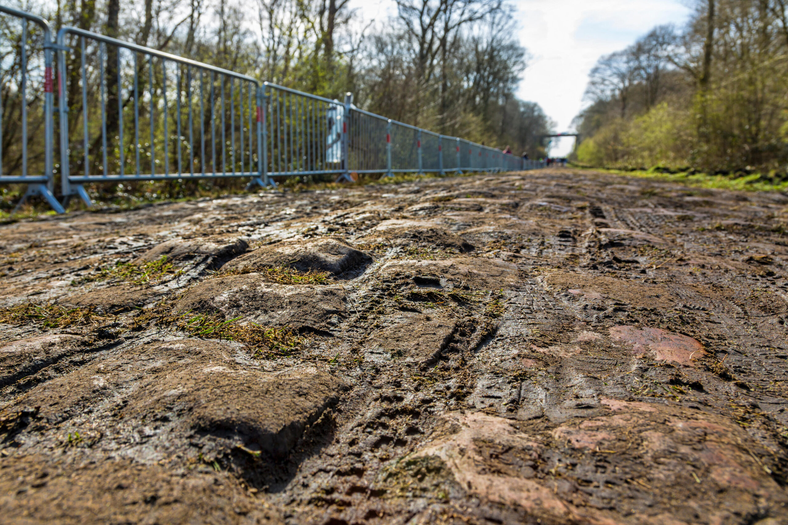 Paris-Roubaix: Wie ein Deutscher die Hölle des Nordens bezwang 