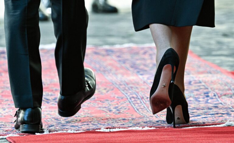 Cocoriki: Eine Feldstudie über die geheimnisvolle Spezies „Première Dame“ 