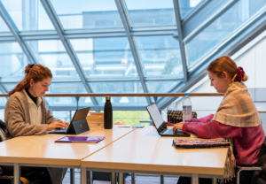 Arbeiten mit Frankreich im Blick: Die Frankreich-Bibliothek des dfi in Ludwigsburg bietet Raum für Recherche, Lektüre und wissenschaftlichen Austausch (Copyright: Annette Krause/dfi)