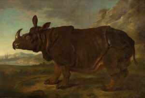 Ein Nashorn namens Clara: Das Gemälde des französischen Malers Jean-Baptiste Oudry aus dem Jahr 1749 gehört zu den bekanntesten Werken der Schweriner Sammlung französischer Kunst (Copyright: Wikimedia Commons)
