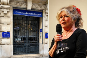 Brigitte Bardot überließ nichts dem Zufall: Tierschutz war für sie Herzenssache – bis hin zur Katze auf ihrem T-Shirt. Links der Eingang ihrer Stiftung in Paris (Copyright: Wikimedia Commons)