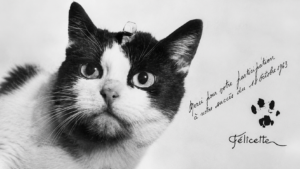 Félicette: Kleine Katze, große Mission: 1963 flog sie als erste Katze ins All – und kehrte lebend auf die Erde zurück (Copyright: Wikimedia Commons/KI-bearbeitet)