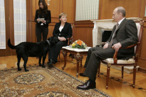 Diplomatie auf vier Pfoten: Wladimir Putins Labradorhündin Koni stattete Angela Merkel 2007 einen Besuch ab – obwohl deren Angst vor Hunden bekannt war. Mehr als ein tierischer Fauxpas… (Copyright: Wikimedia Commons)